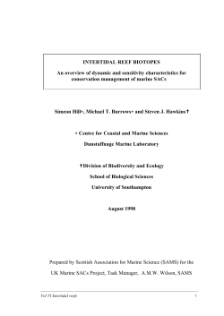 INTERTIDAL REEF BIOTOPES An overview of dynamic and