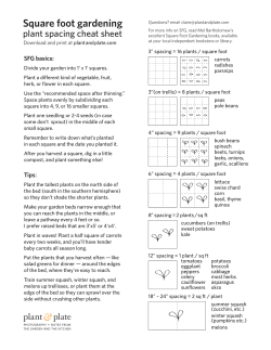 Plant and Plate || Square foot garden plant spacing cheat sheet