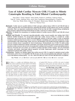 Loss of Adult Cardiac Myocyte GSK-3 Leads to Mitotic Catastrophe