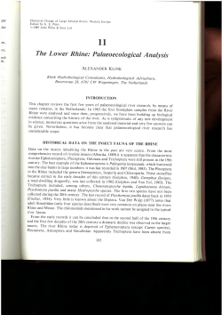 The Lower Rhine: P&oslash;laeoecological Analysis