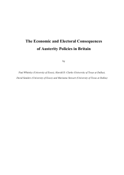 The Economic and Electoral Consequences of Austerity Policies in