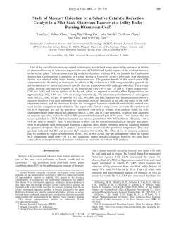 Study of Mercury Oxidation by a Selective Catalytic