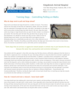 Training Dogs &ndash; Controlling Pulling on Walks