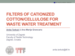 FILTERS OF CATIONIZED COTTON/CeLLULOSE FOR WASTE
