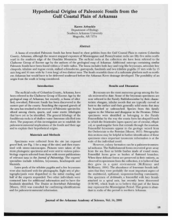 Hypothetical Origins of Paleozoic Fossils from the Gulf Coastal Plain