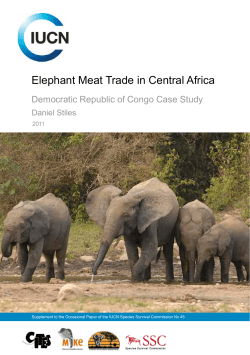 Elephant Meat Trade in Central Africa