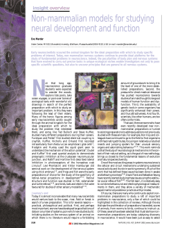 Non-mammalian models for studying neural development