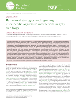 Behavioral strategies and signaling in interspecific aggressive
