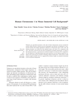 Human Chromosome 1 in Mouse Immortal Cell Background*