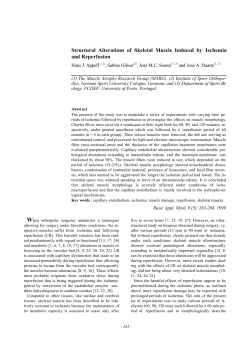 Structural Alterations of Skeletal Muscle Induced by Ischemia and