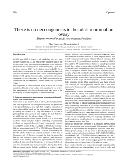 There is no neo-oogenesis in the adult mammalian ovary