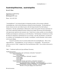 Australopithecines, australopiths