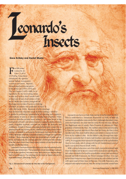 Leonardo`s Insects