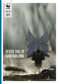 seven sins of dam building - Panda
