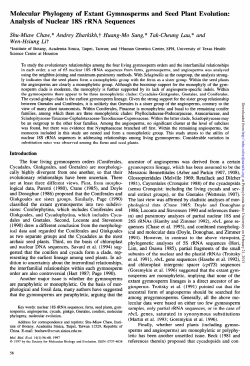 Molecular Phylogeny of Extant Gymnosperms and Seed Plant