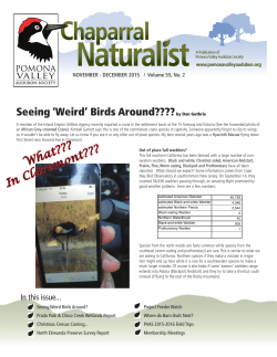 Seeing `Weird` Birds Around????by Dan Guthrie