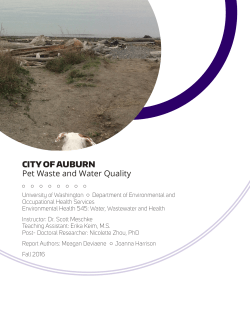 Final report - UW Sustainability