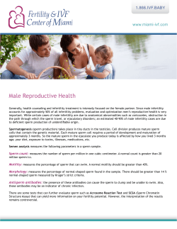 Frequently Ask Questions about Male Reproductive Health