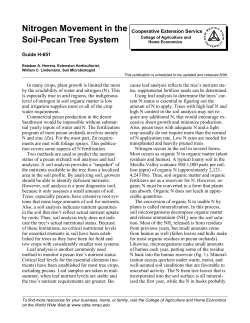 Nitrogen Movement in the Soil-Pecan Tree System