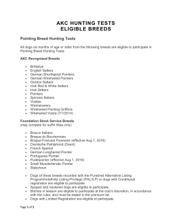 akc hunting tests eligible breeds
