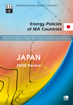 Energy Policies of IEA Countries - Japan 2008