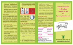 Artificial Insemination in Dairy Cows Procedure and Facts for