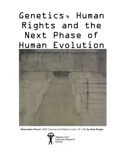 Genetics, Human Rights and the Next Phase of Human Evolution