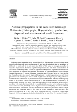 Asexual propagation in the coral reef macroalga