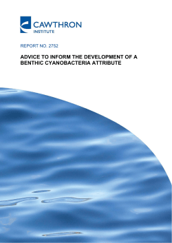 advice to inform the development of a benthic cyanobacteria attribute