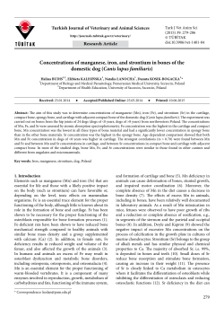 Concentrations of manganese, iron, and strontium in bones of the