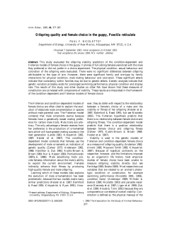 Offspring quality and female choice in the guppy, Poecilia reticulata