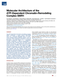 Molecular Architecture of the ATP