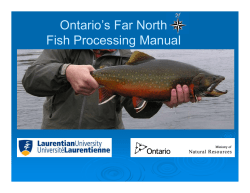 Ontario`s Far North Fish Processing Manual