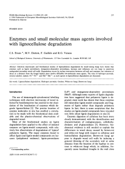 Enzymes and small molecular mass agents involved with