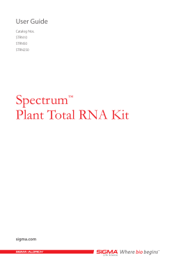 Spectrum&trade; Plant Total RNA Kit - Sigma