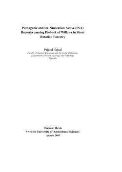 Pathogenic and Ice-Nucleation Active (INA)