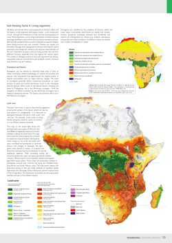 Soil-forming factor 4: Living organisms
