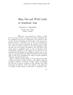 Man, Fire and Wild Cattle in Southeast Asia