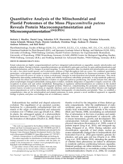 Quantitative Analysis of the Mitochondrial and