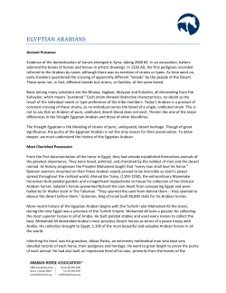 egyptian arabians - Arabian Horse Association