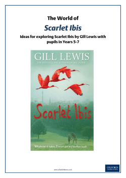 Scarlet Ibis