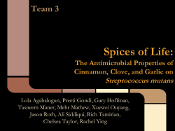 Spices of Life: The Antimicrobial Properties of Garlic, Cinnamon, and
