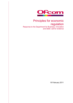 Principles for economic regulation