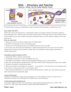DNA - Structure and Function