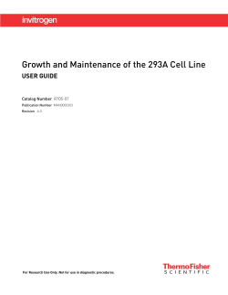 Growth and Maintenance of the 293A Cell Line