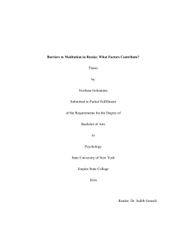 Barriers to Meditation in Russia: What Factors Contribute? Thesis by