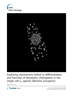 Exploring mechanisms linked to differentiation and function of