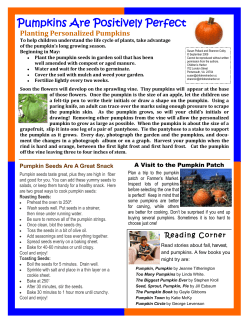 Pumpkins Are Positively Perfect