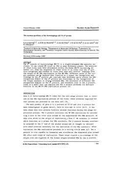 The nuclease specificity of the bacteriophage 0X174 A* protein S.A.