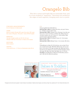 Orangelo Bib